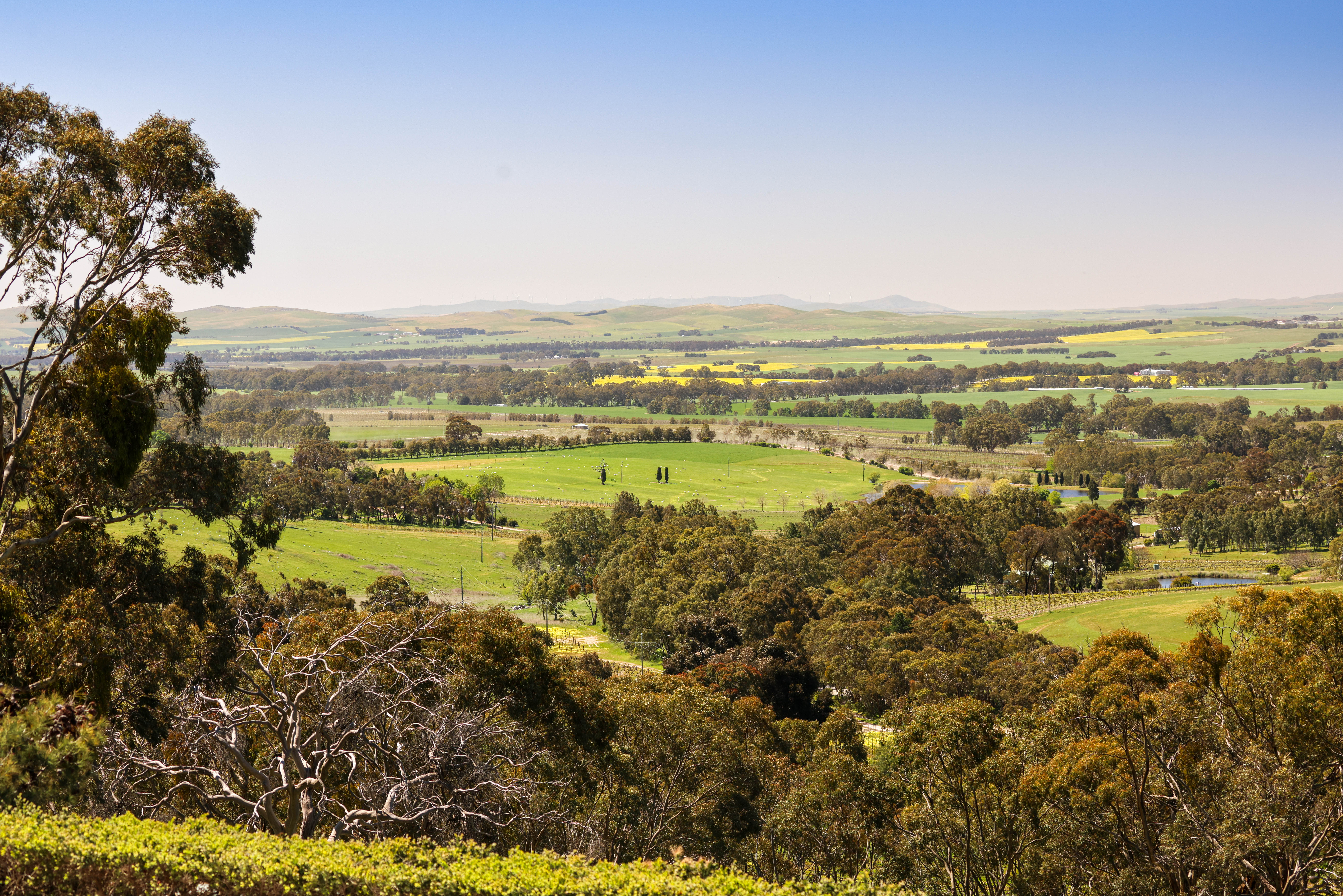JBRE Taste of The Ghan Experience - Clare Valley - SA -171