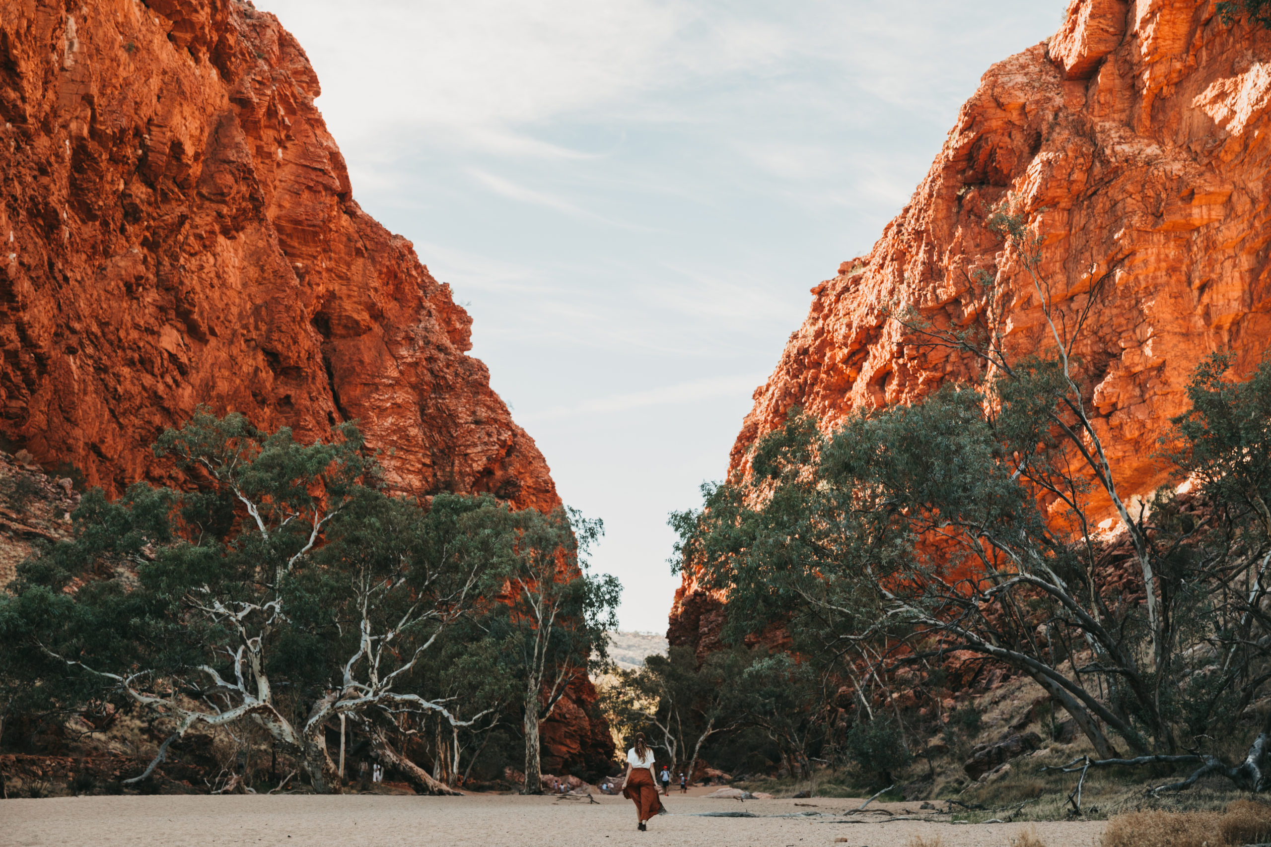 JBRE The Ghan Simpsons Gap West MacDonnell Ranges NT 192 (1)